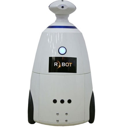 Фото Робот-промоутер R.BOT 100